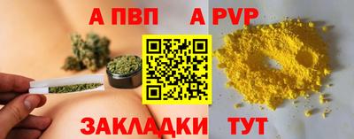 стафф Краснознаменск