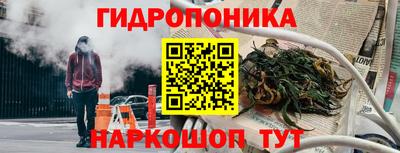 стафф Краснознаменск